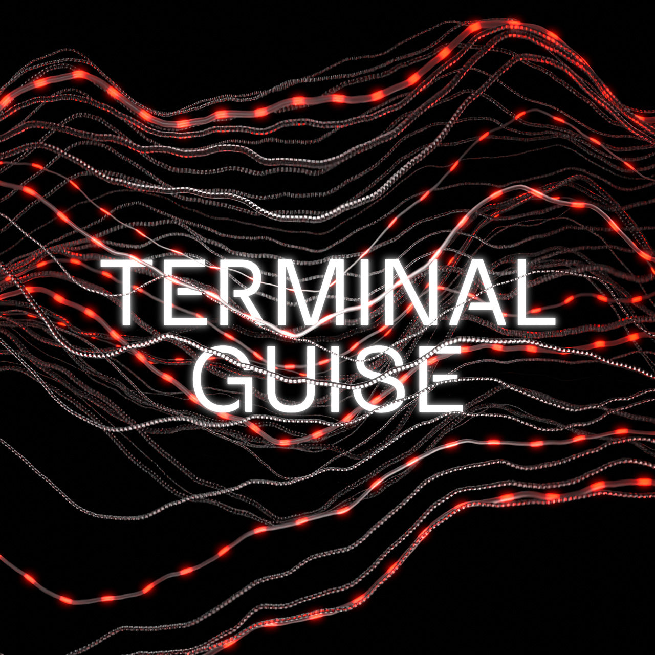 Terminal Guise