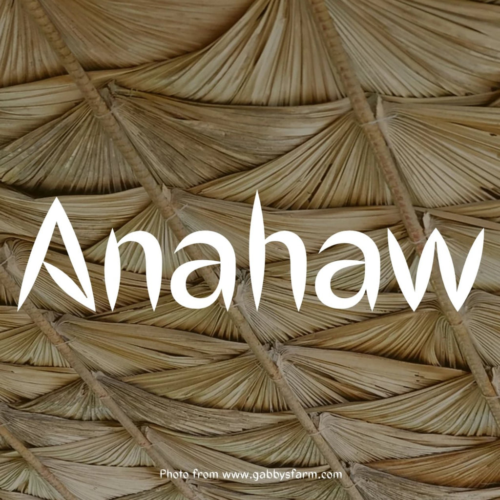 Anahaw