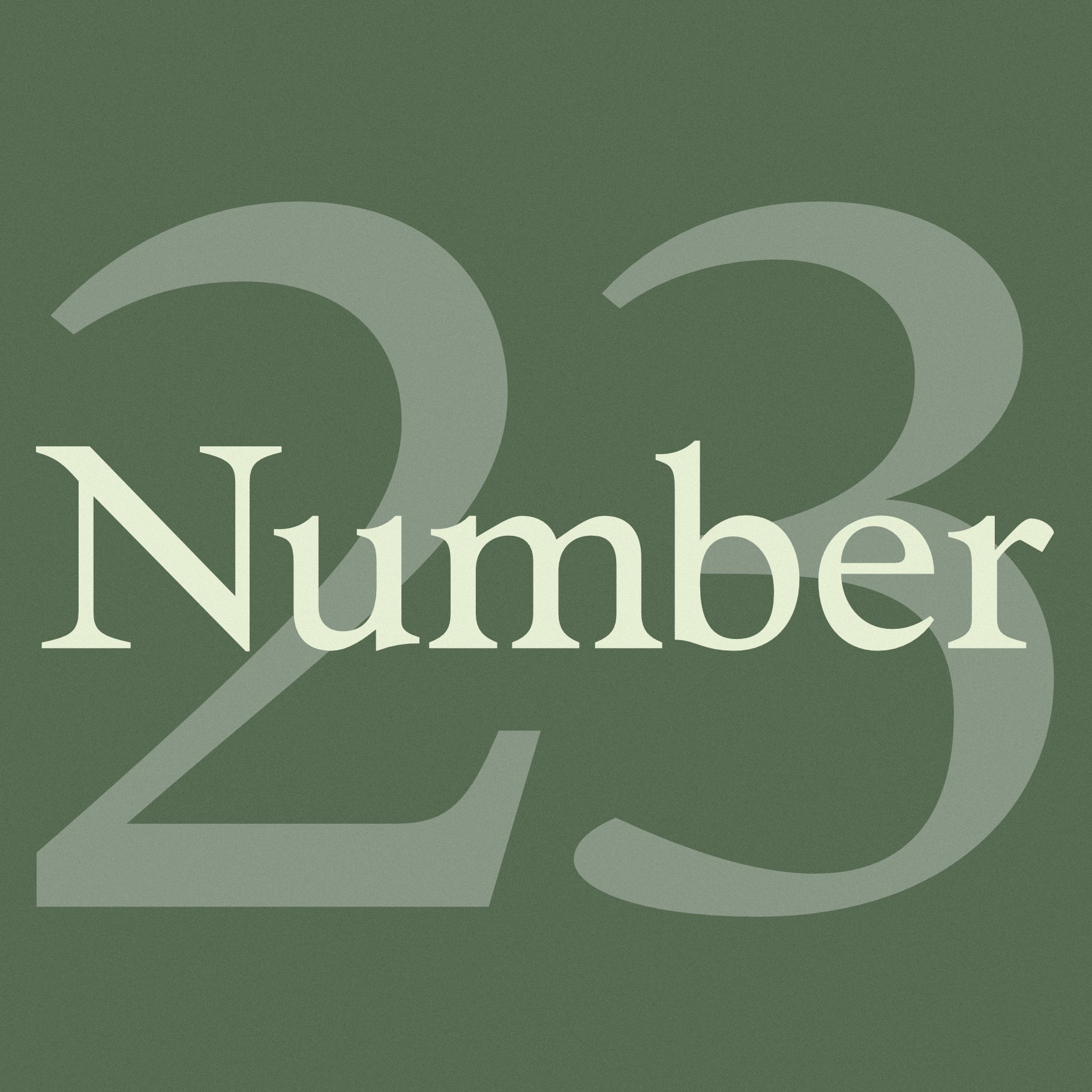 Number 23